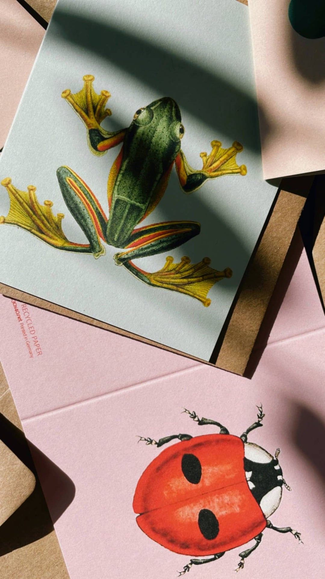 30x40 - Mini Biglietto d'Auguri Ranocchia