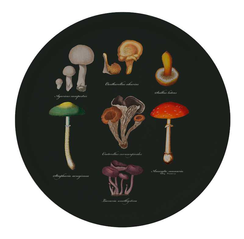 Koustrupco - Vassoio Rotondo Funghi
