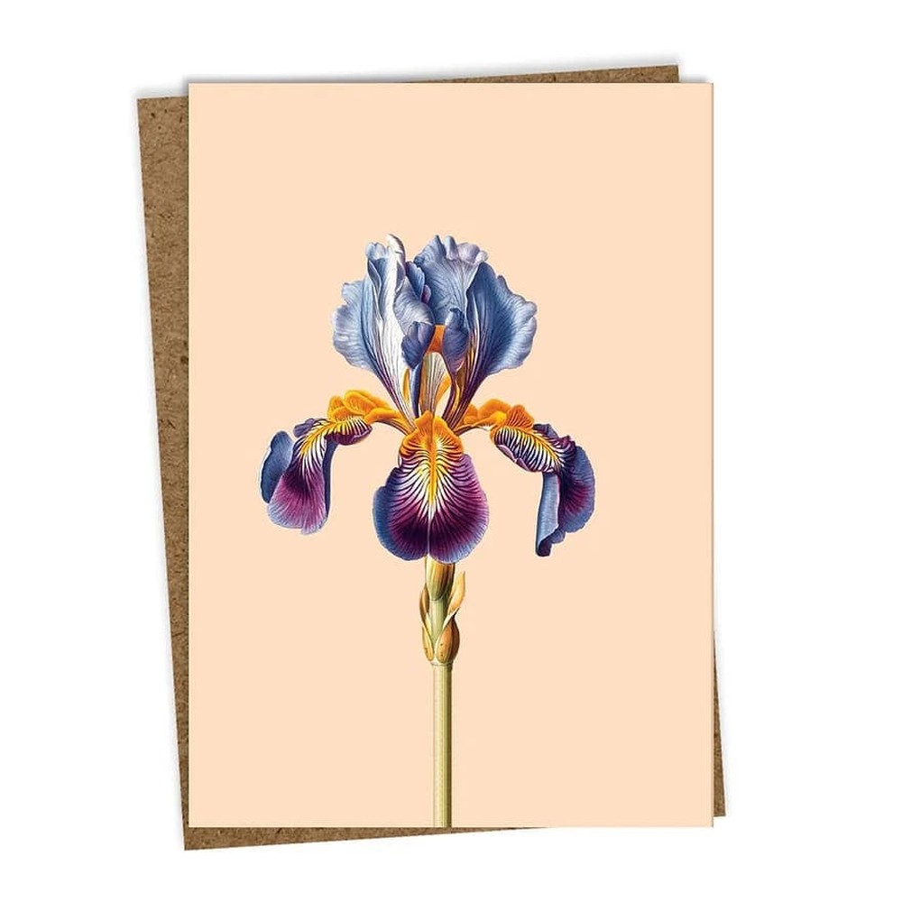 30x40 - Biglietto d'Auguri Iris