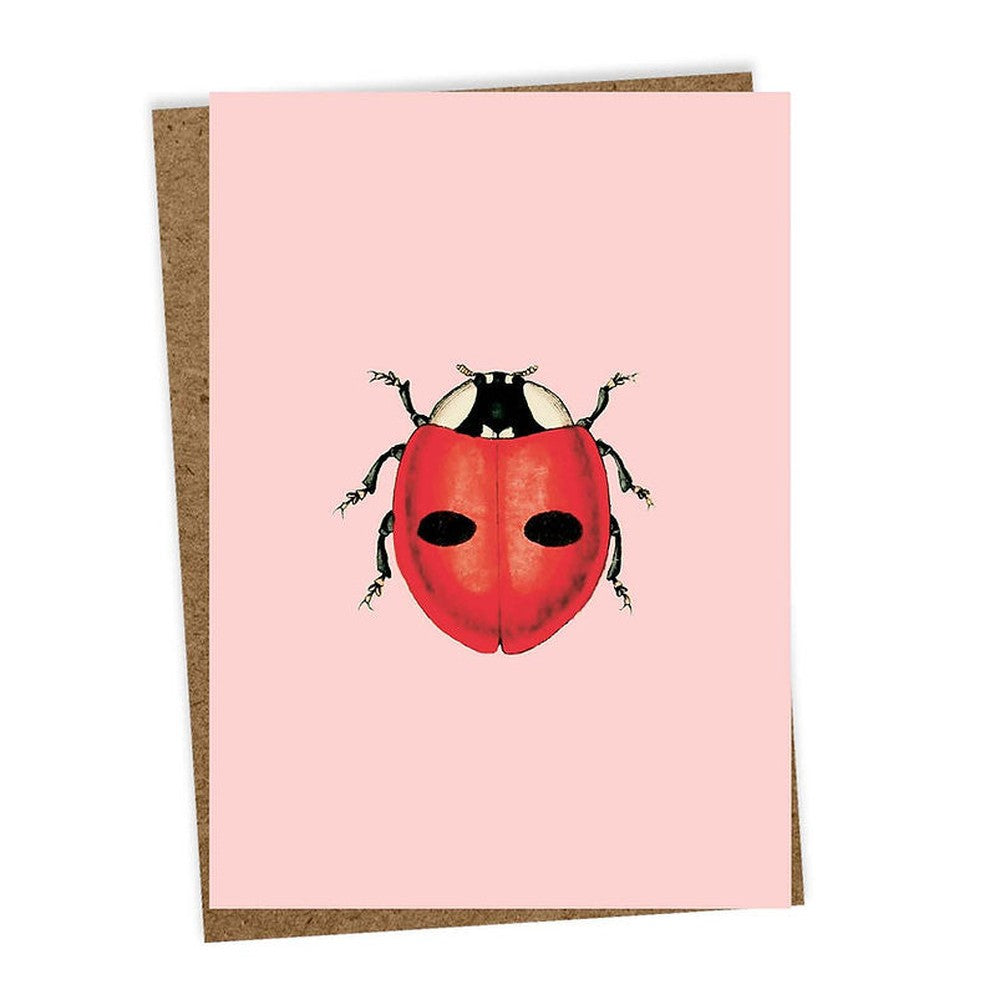 30x40 - Biglietto d'Auguri Coccinella