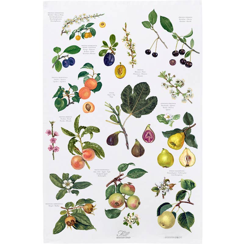 Koustrupco - Strofinaccio Frutta in Cotone 100% Organico