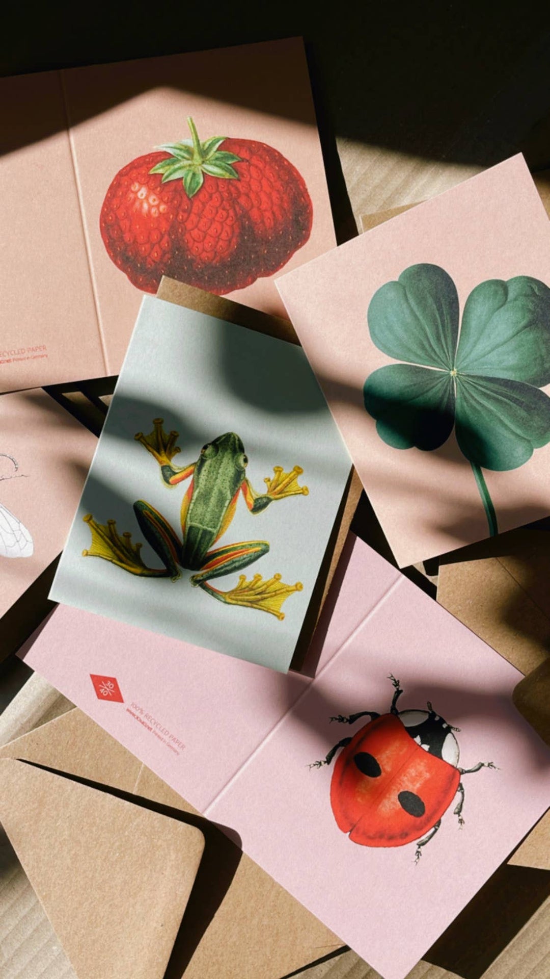 30x40 - Mini Biglietto d'Auguri Ranocchia