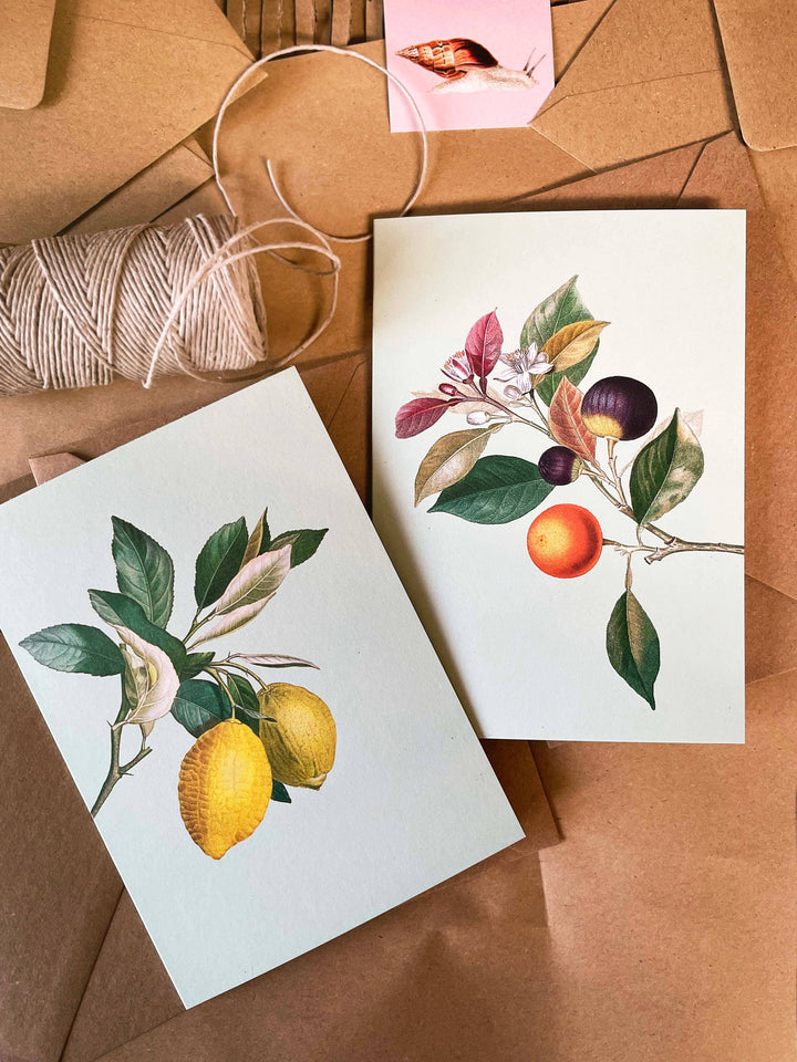 30x40 - Biglietto d'Auguri Limoni