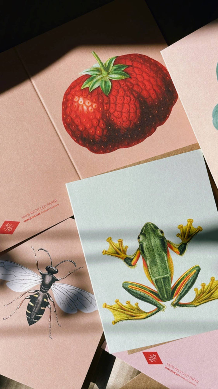 30x40 - Mini Biglietto d'Auguri Ranocchia