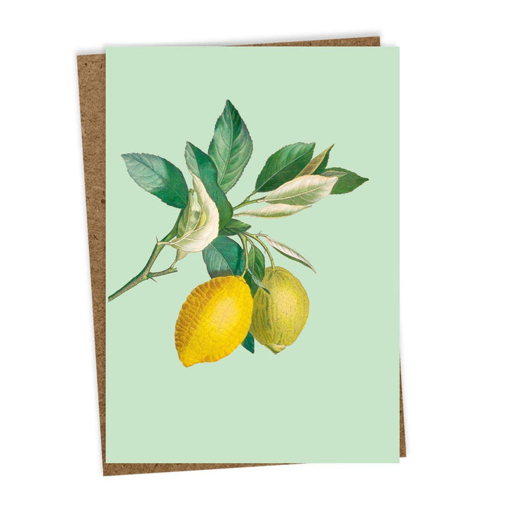 30x40 - Biglietto d'Auguri Limoni