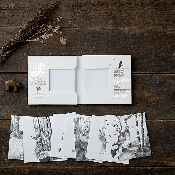 Koustrupco - Set 8 Biglietti d'Auguri "Animali del Nord"