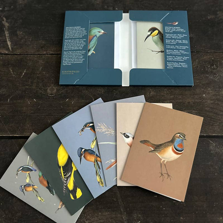 Koustrupco - Set di 8 Cartoline con Busta "Uccelli spettacolari"