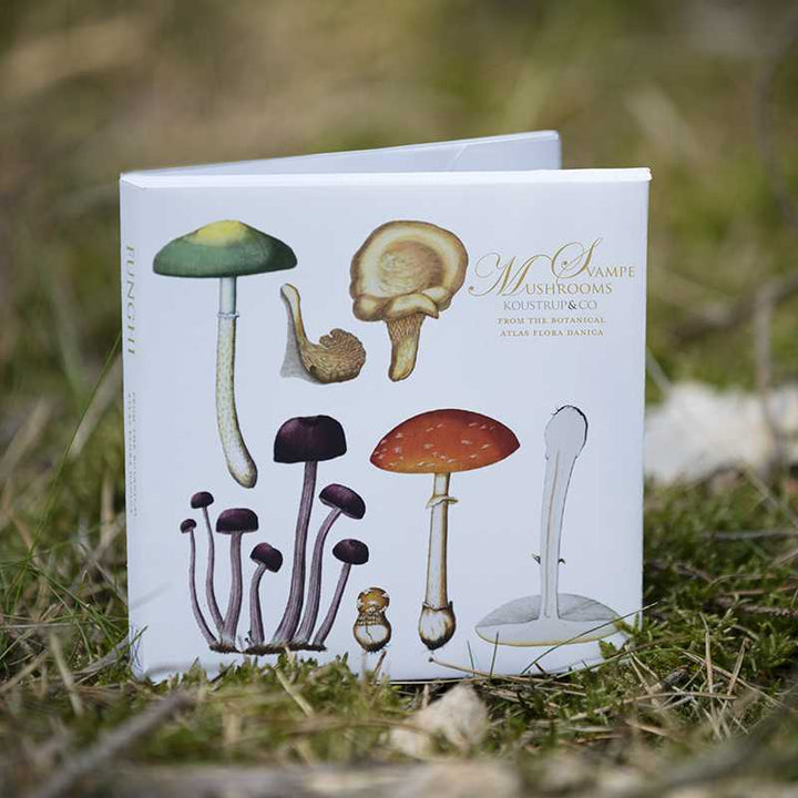 Koustrupco - Set 8 Biglietti d'Auguri Funghi