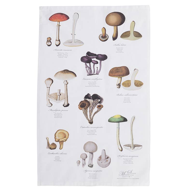 Koustrupco - Strofinaccio Funghi in Cotone 100% Organico