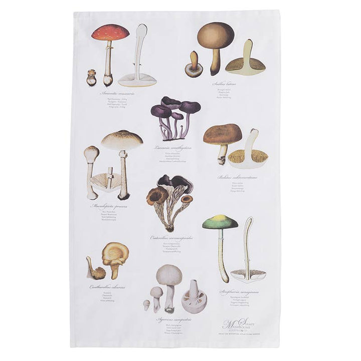 Koustrupco - Strofinaccio Funghi in Cotone 100% Organico