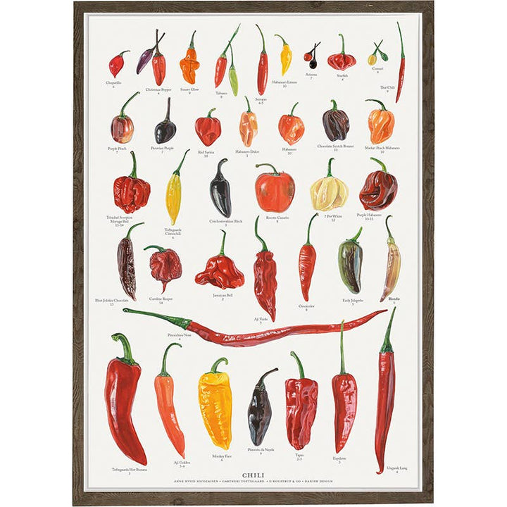 Koustrupco - Poster A4 Peperoncini