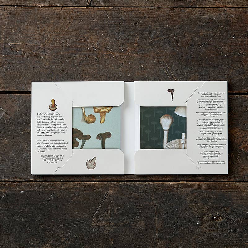 Koustrupco - Set 8 Biglietti d'Auguri Funghi