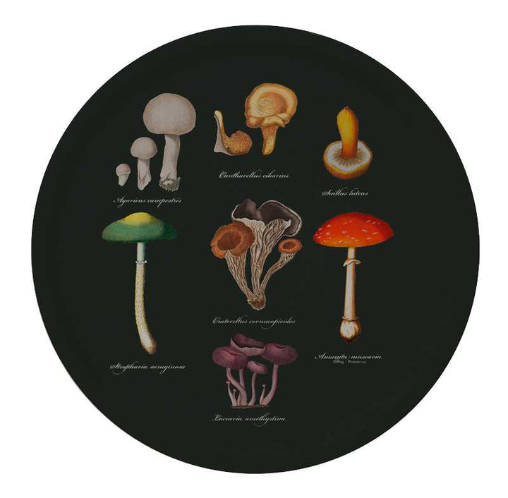 Koustrupco - Vassoio Rotondo Funghi