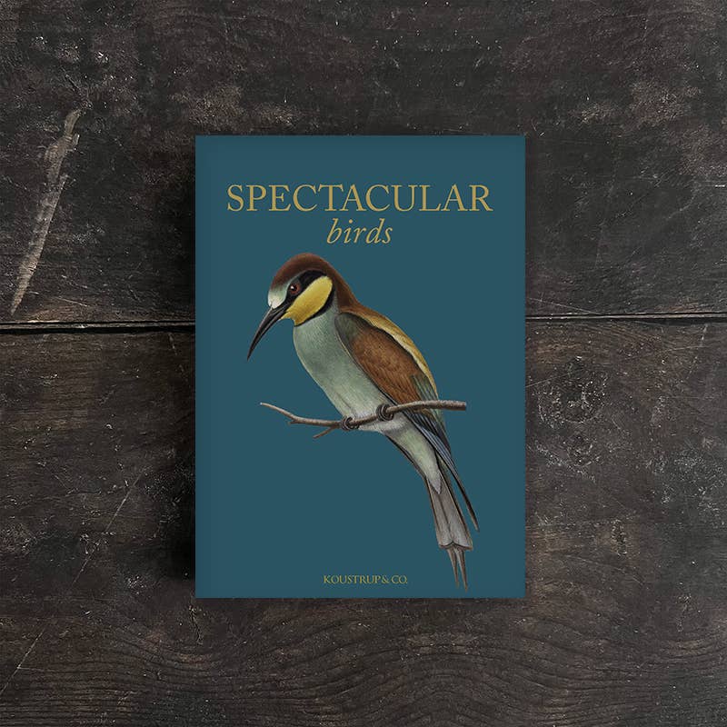 Koustrupco - Set di 8 Cartoline con Busta "Uccelli spettacolari"