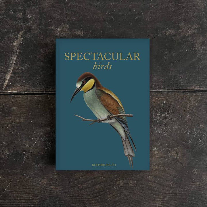 Koustrupco - Set di 8 Cartoline con Busta "Uccelli spettacolari"