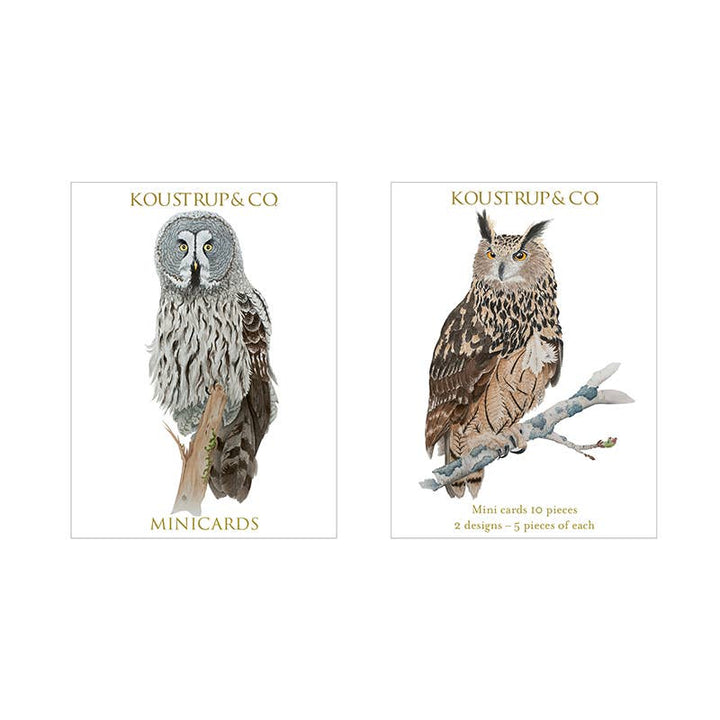 Koustrupco - Set da 10 Mini Biglietti d'Auguri Barbagianni