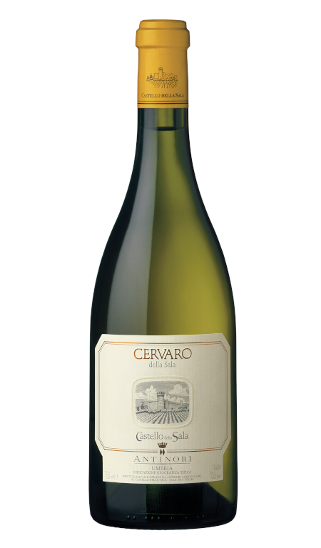 Antinori - Cervaro della Sala 2023