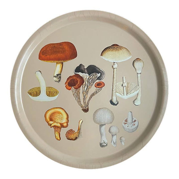 Koustrupco - Vassoio Rotondo Funghi Primavera 2026