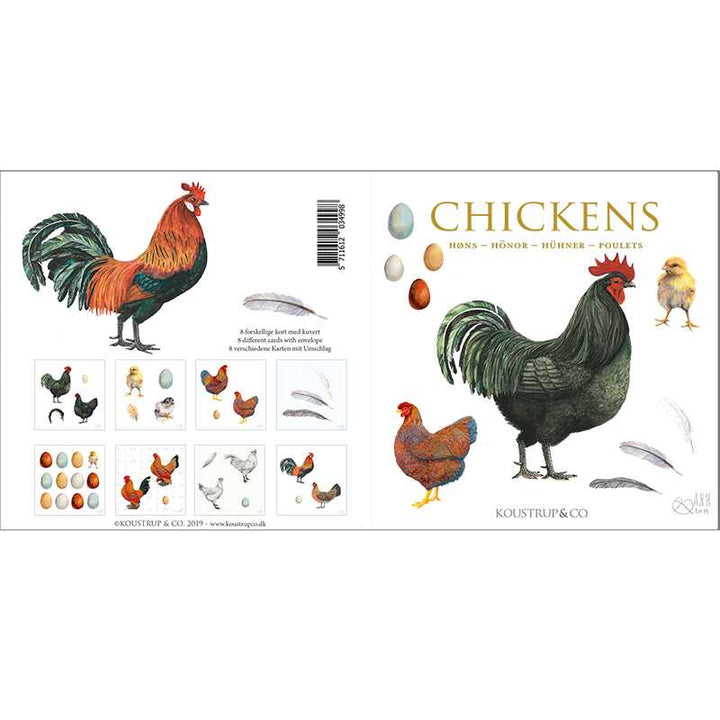 Koustrupco - Set 8 Biglietti Quadrati Polli