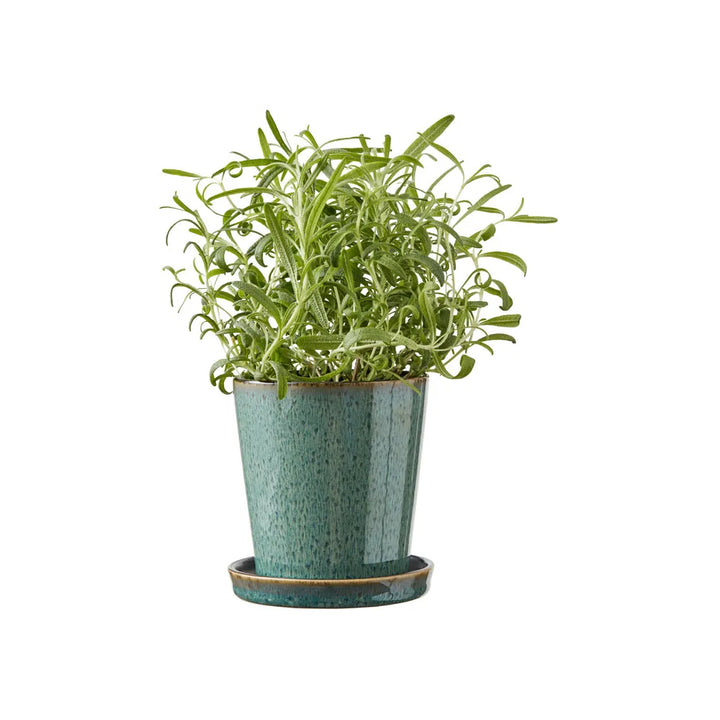 Bitz - Vaso in Gres per Erbe Aromatiche