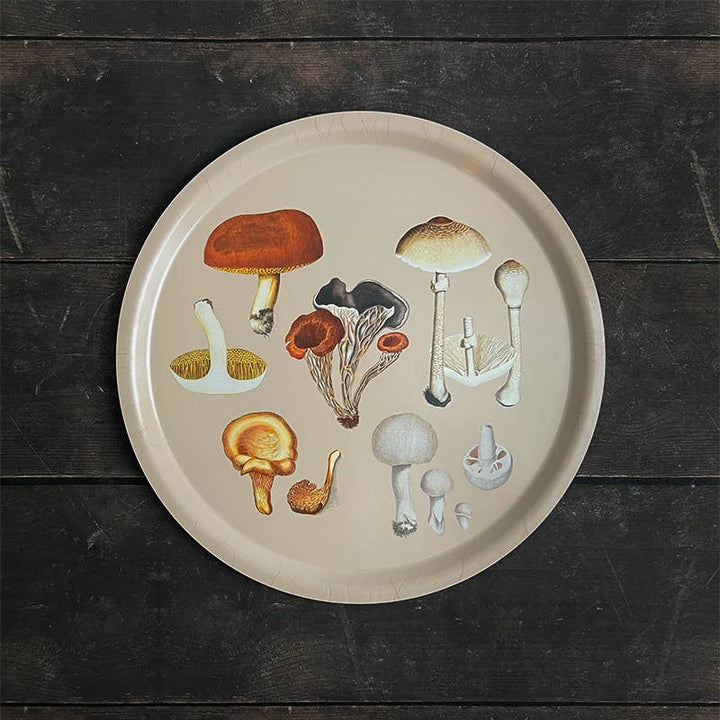 Koustrupco - Vassoio Rotondo Funghi Primavera 2026