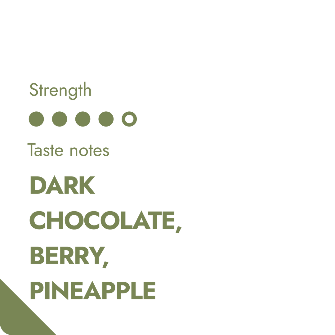 The Brew Company - Caffè Specialty Indonesia in Grani 66g